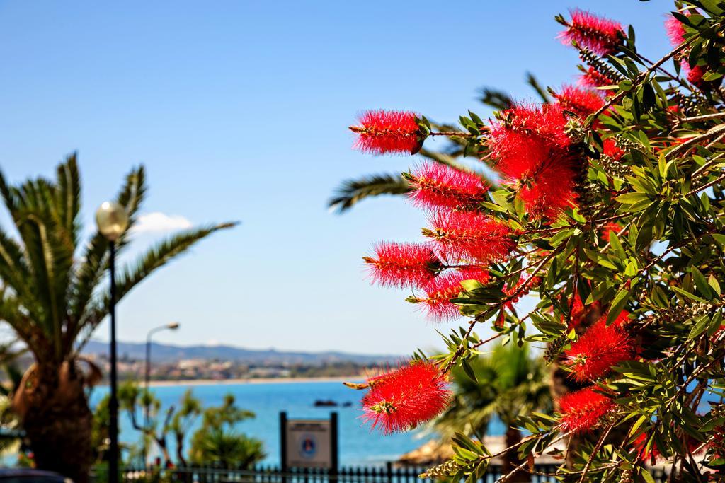 Готель Stam'S Paradise Chania  Екстер'єр фото